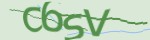 password-reset