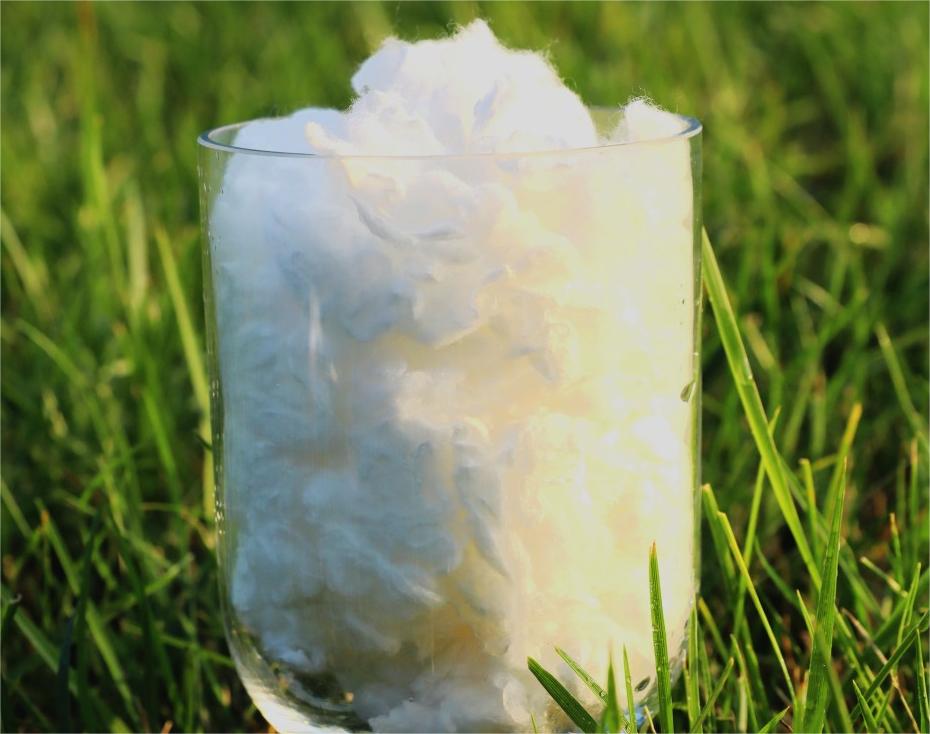 贝斯特 - 全球最奢华的游戏平台