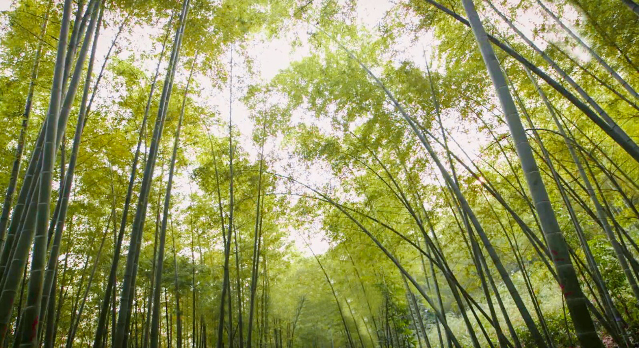 贝斯特 - 全球最奢华的游戏平台